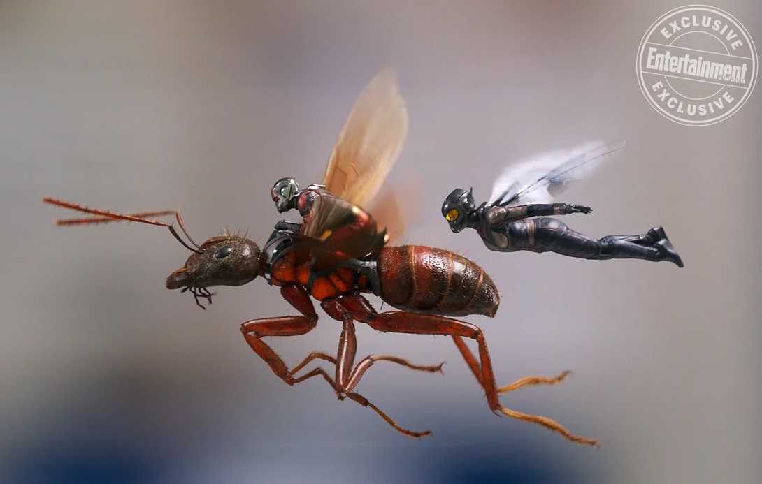 Ant-Man and the Wasp billeder / Filmz.dk