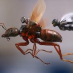 Ant-Man and the Wasp billeder / Filmz.dk