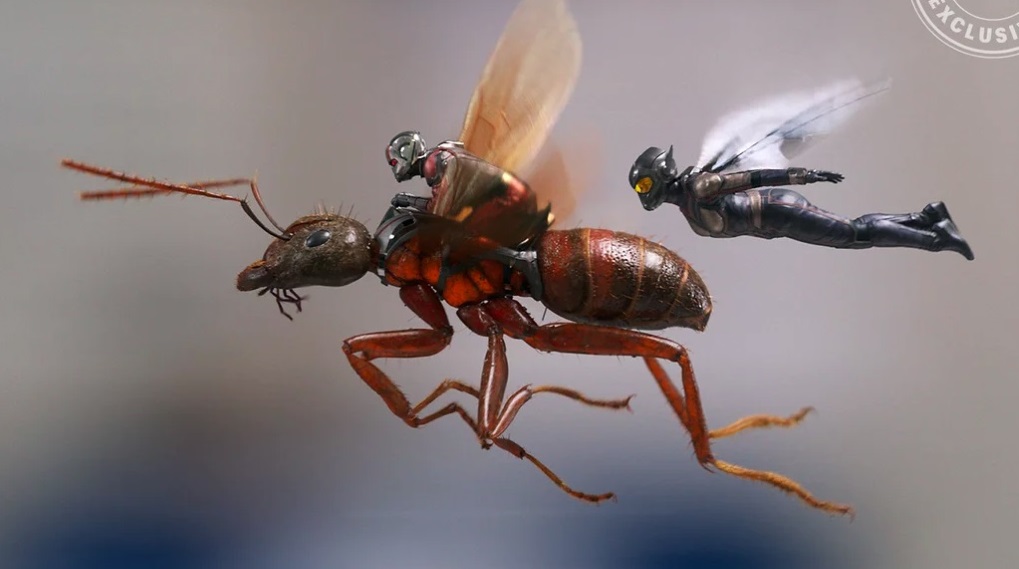 Ant-Man and the Wasp billeder / Filmz.dk