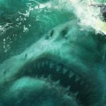 The Meg Trailer haj / Filmz.dk