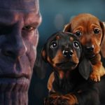 Thanos dyr infinity war / Filmz.dk