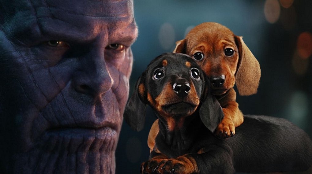 Thanos dyr infinity war / Filmz.dk