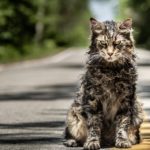 Pet Sematary remake Stephen King / Filmz.dk