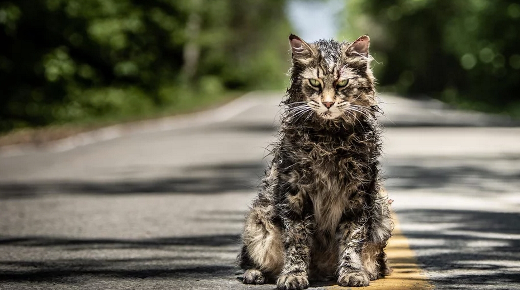 Pet Sematary remake Stephen King / Filmz.dk