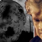 Ant-Head David Lynch gratis film / Filmz.dk