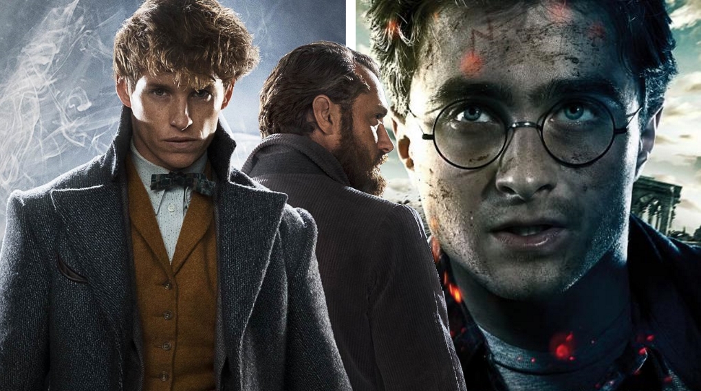 Harry Potter Fantastic Beasts forbindelse / Filmz.dk