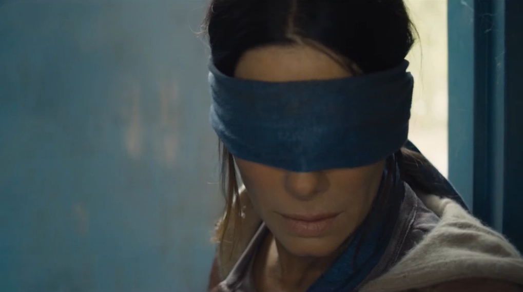 Bird Box Challenge youtube forbud / Filmz.dk