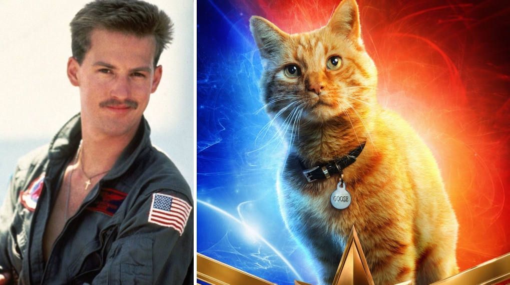 Captain Marvel Goose Top Gun / Filmz.dk