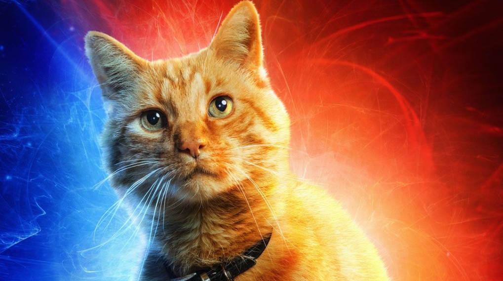 Captain Marvel visning reaktion kat goose / Filmz.dk