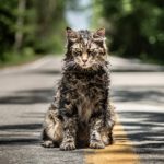 Pet Sematary trailer 2019 / Filmz.dk
