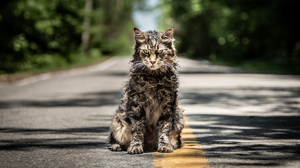 Pet Sematary trailer 2019 / Filmz.dk