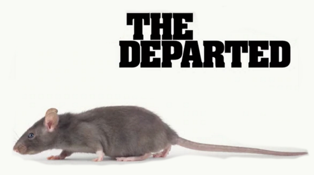 The Departed fjern rotte kickstarter / Filmz.dk