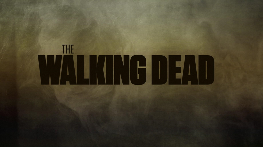 The Walking Dead Sæson 10 / Filmz.dk