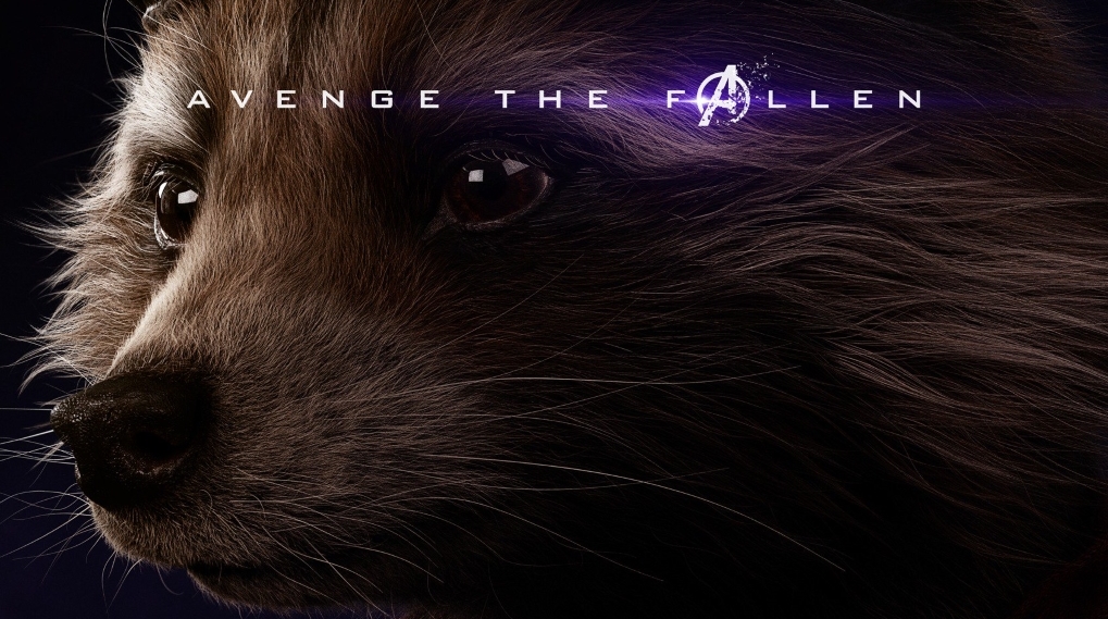 Stemme skuespiller rocket spoiler Avengers Endgame / Filmz.dk