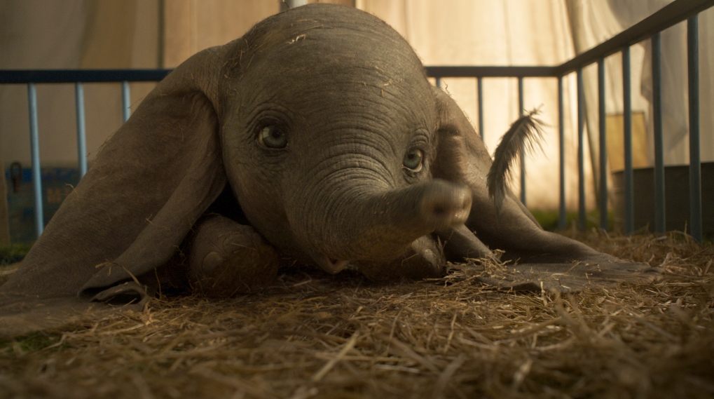 Rotten Tomatoes Dumbo anmeldelser / Filmz.dk