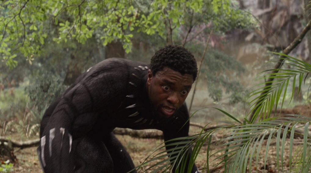 Black Panther død Avengers Endgame / Filmz.dk