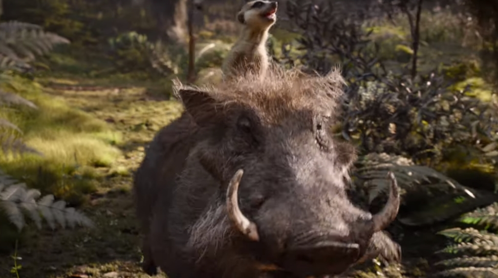 Løvernes konge live action trailer 2019 / Filmz.dk