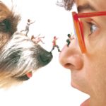 Honey I Shrunk the Kids fortsættelse Disney / Filmz.dk