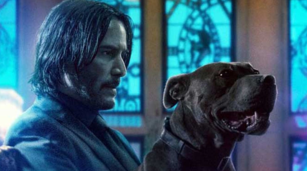 John Wick 3 Parabellum / Filmz.dk