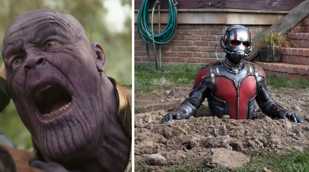 Ant-Man Thanos røv teori Marvel svar / Filmz.dk
