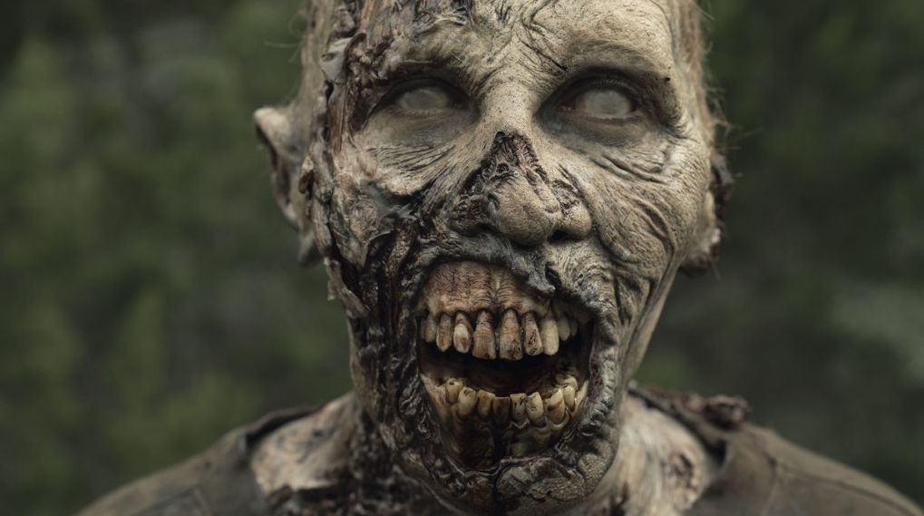 The Walking Dead spinoff tredje serie instruktør / Filmz.dk