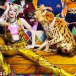 Birds of Prey reshoots / Filmz.dk