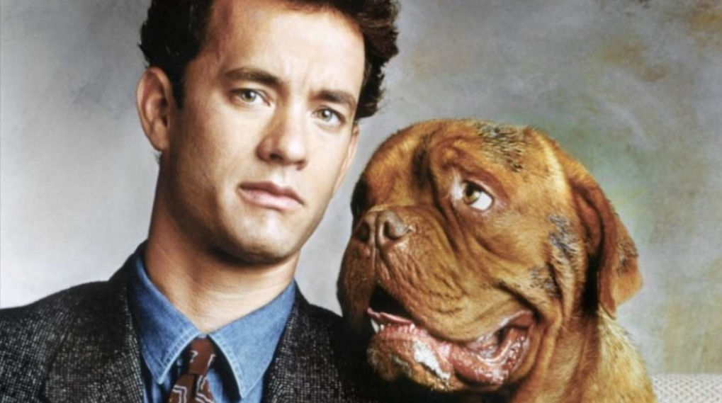 Turner hund hooch Disney Plus reboot serie / Filmz.dk
