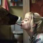 Birds of Prey post-credit / Filmz.dk