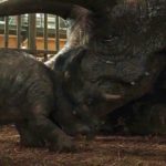 Jurassic World 3 Triceratops animatronics / Filmz.dk