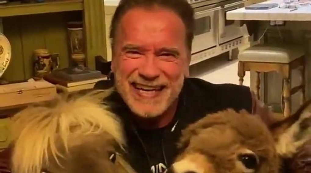Arnold Schwarzenegger corona råd / Filmz.dk