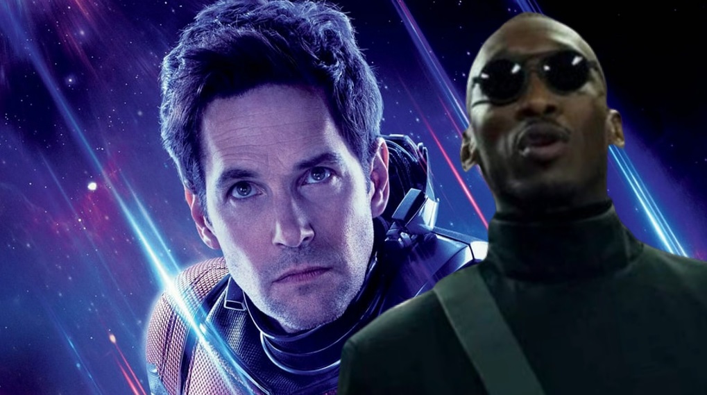 MCU 2022 titel Ant-Man 3 Blade / Filmz.dk