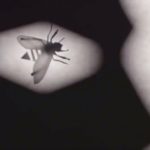 Candyman trailer / Filmz.dk