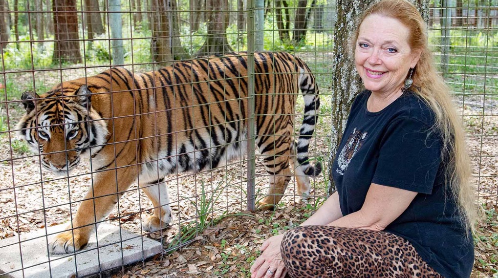 Carole Baskin zoo Joe Exotic Netflix Tiger king / Filmz.dk