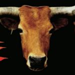 Earthlings gidsler Joaquin Phoenix dyr / Filmz.dk