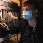 Jurassic World 3 Dominion bts billeder / Filmz.dk