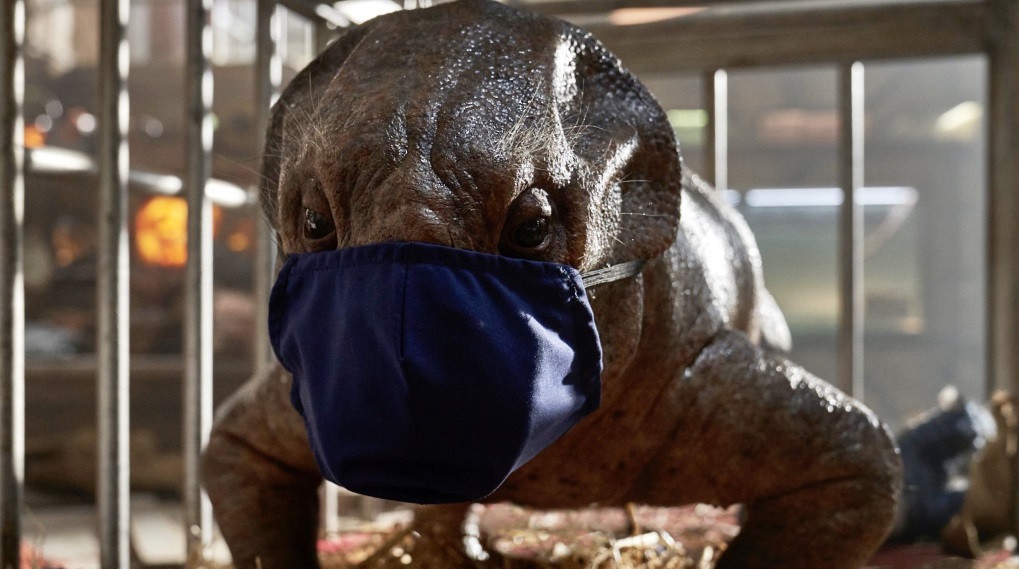 Jurassic World Dominion corona positiv / Filmz.dk