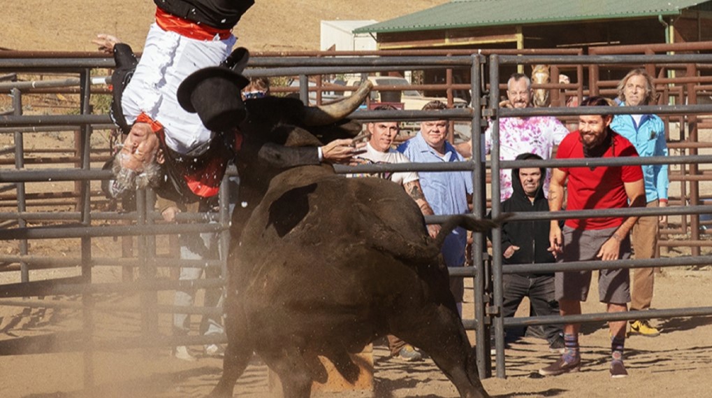jackass forever trailer 2 / filmz.dk