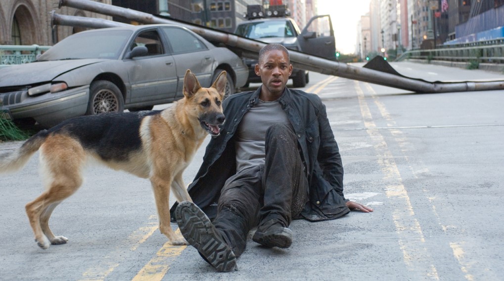 i am legend fortsættelse / filmz.dk