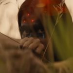 prey trailer / filmz.dk