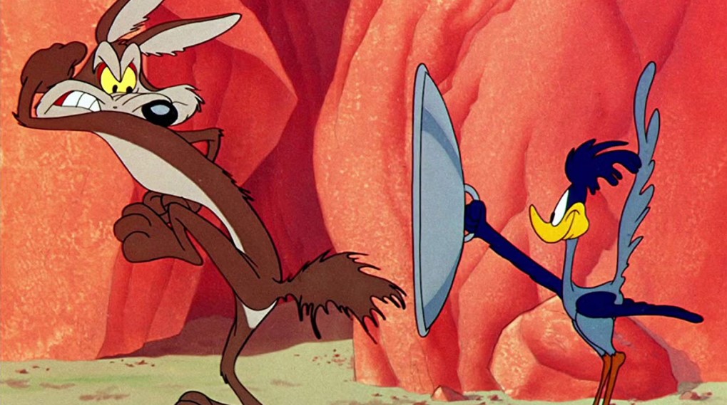 coyote v acme screenes / filmz.dk